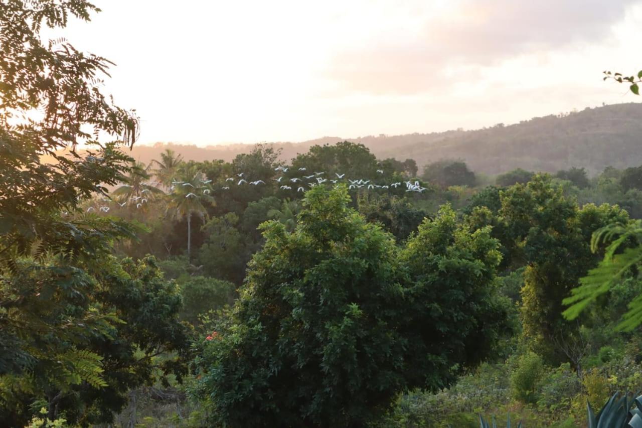 Sumba Nautil Resort Deke Exterior photo