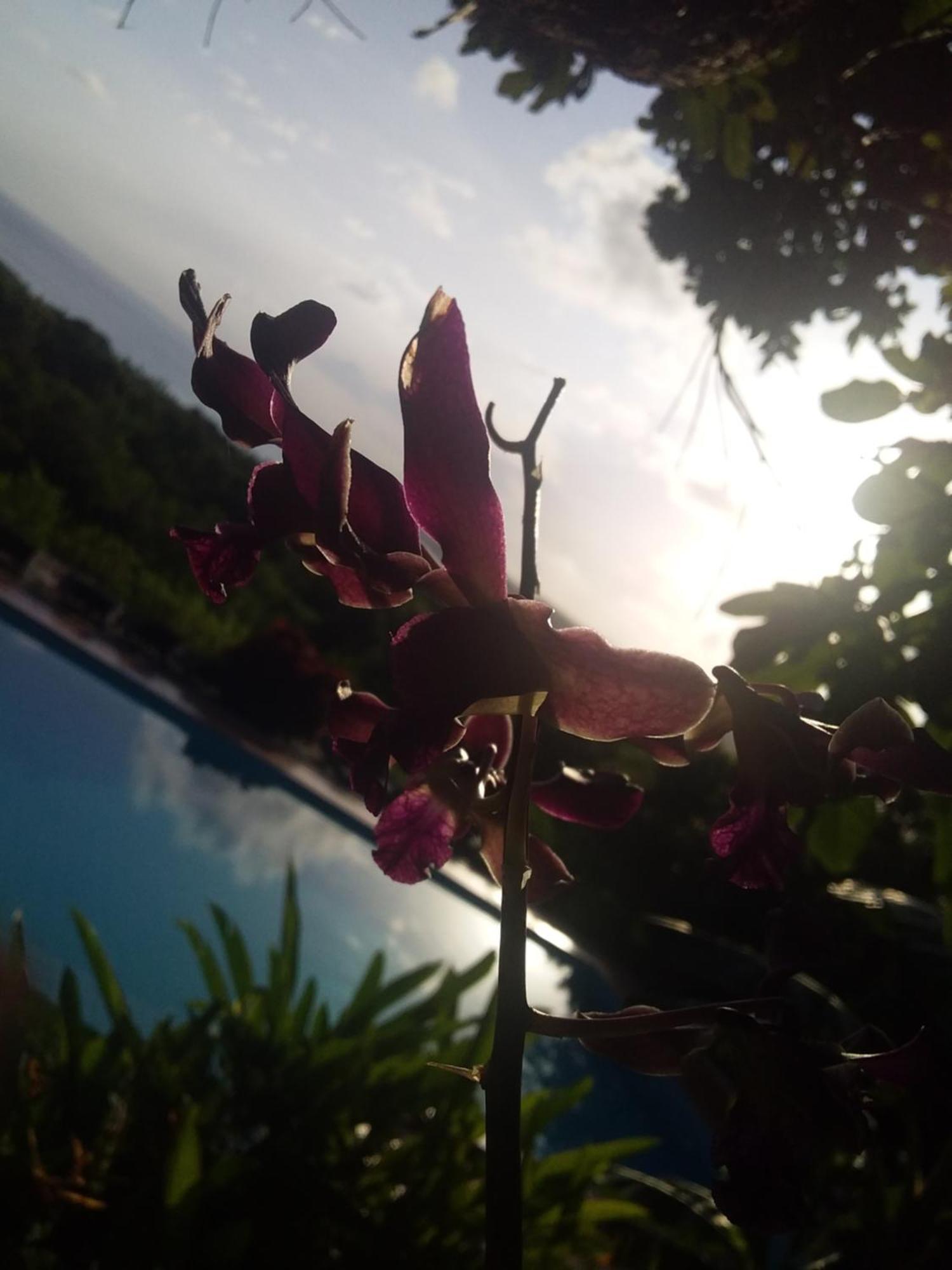 Sumba Nautil Resort Deke Exterior photo